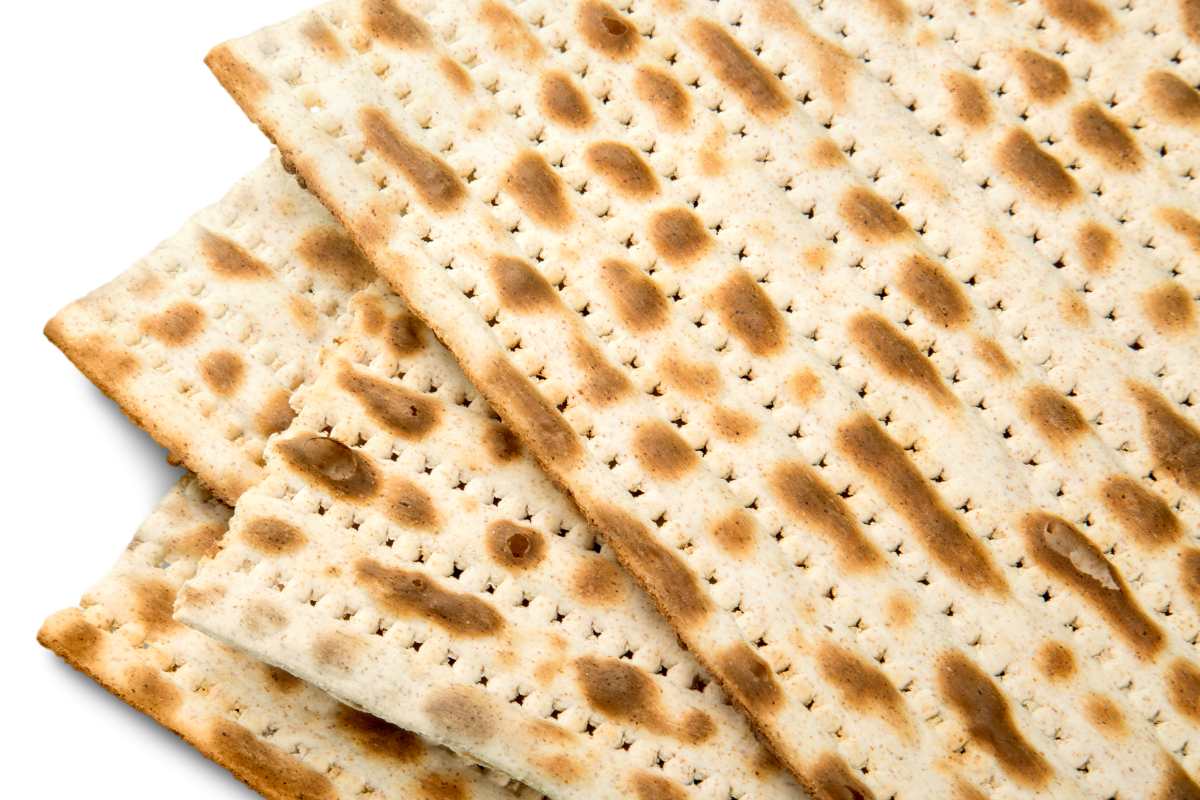 A Humanistic Seder | 2023