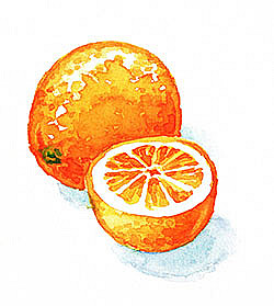 Dispelling the Urban Myth of the Orange on the Seder Plate