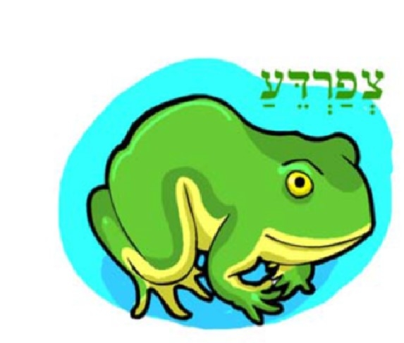 Song - The Frog Song