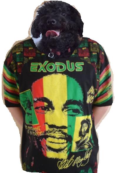Marley's Exodus