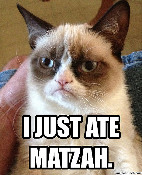 Matzah Meow