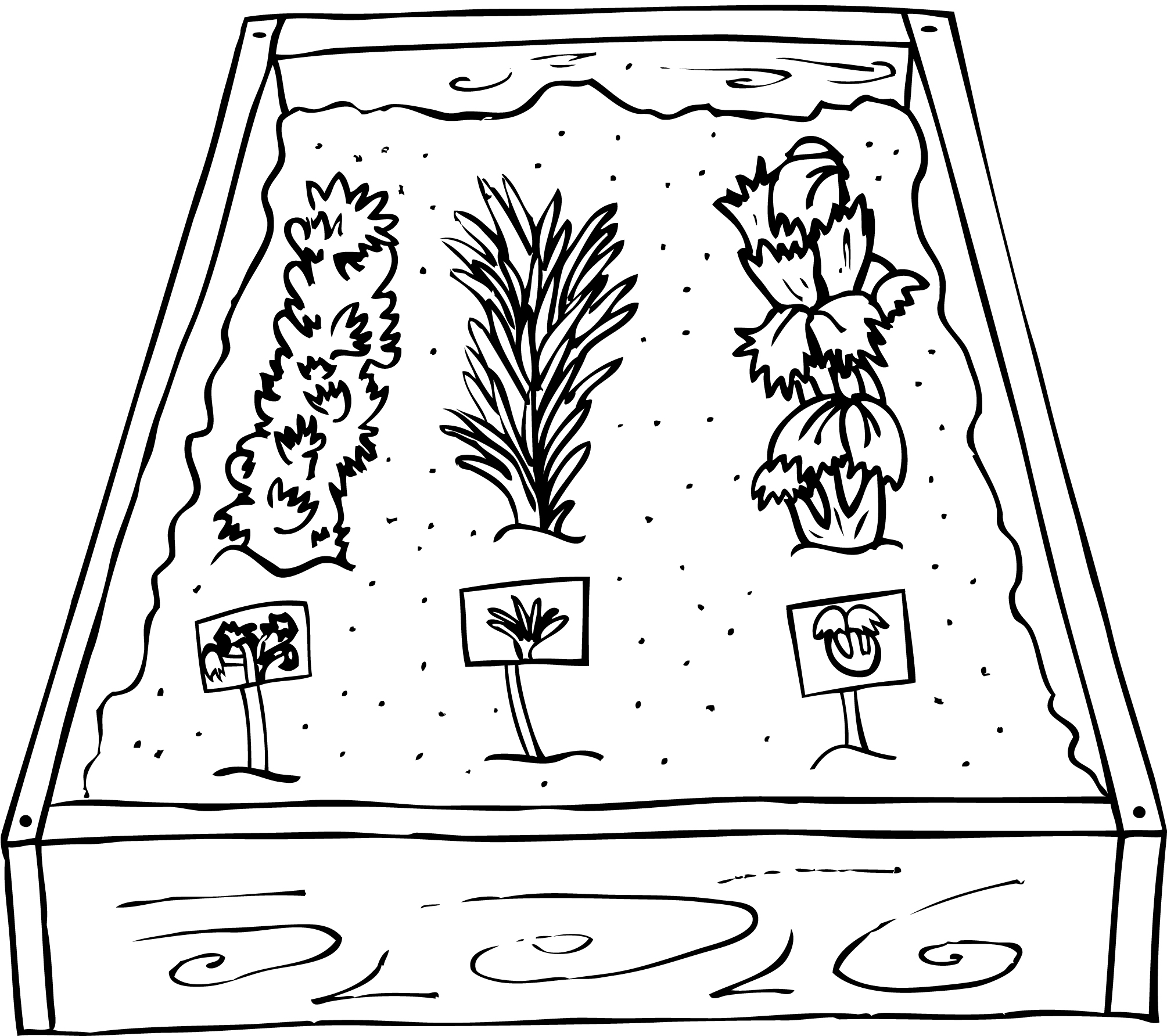Drawing] Family Vegetable Garden ! Children Watering Vegetables - YouTube