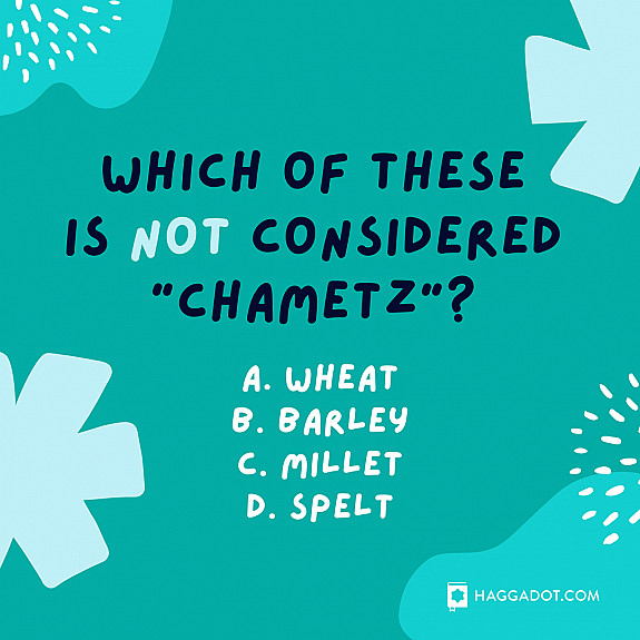 Chametz Quiz