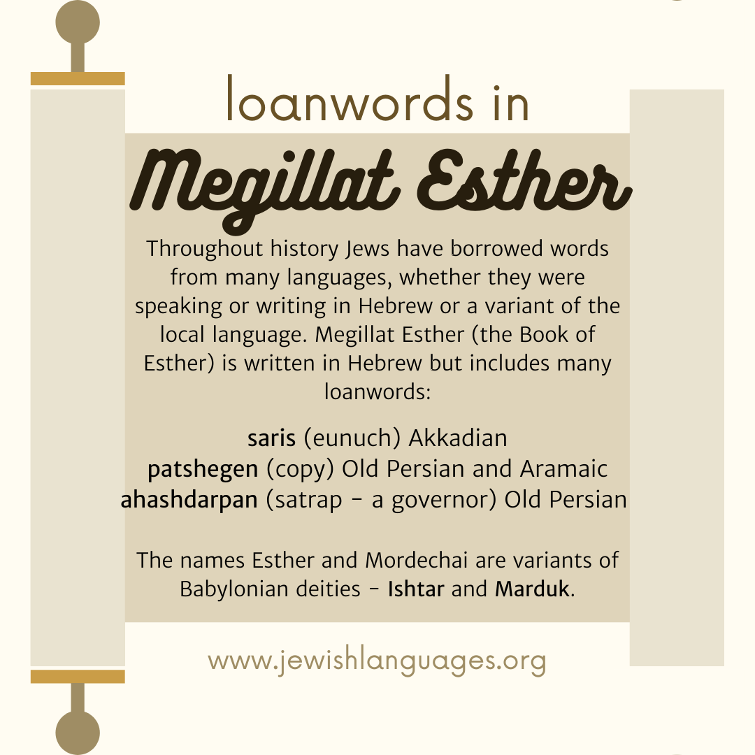 Loanwords in Megillat Esther