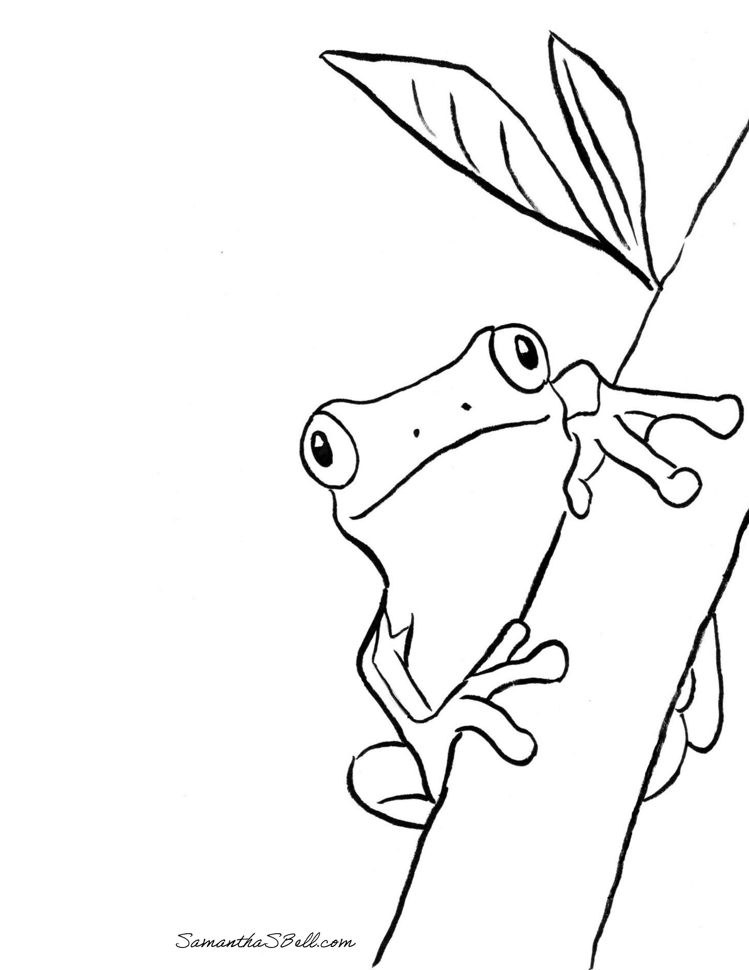 Frog Coloring Page | Passover haggadah by Ben Pagliaro