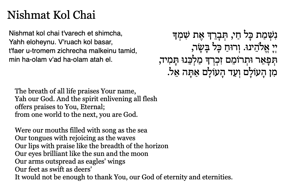 Nishmat Kol Chai Passover haggadah by Merritt Snider