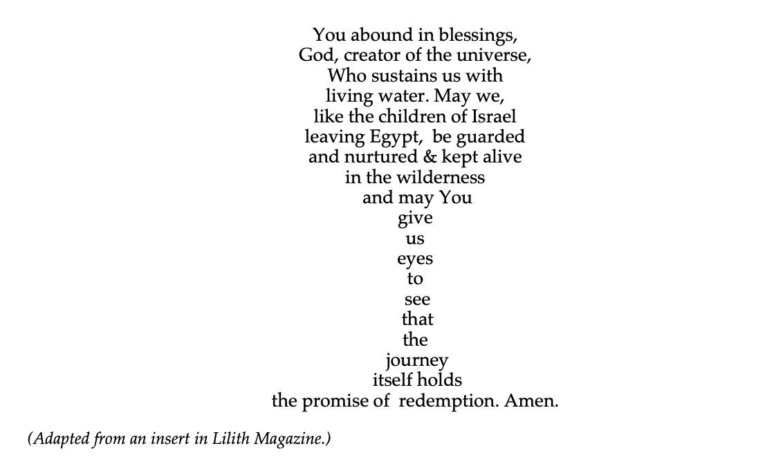 We Open the Door Passover haggadah by Merritt Snider