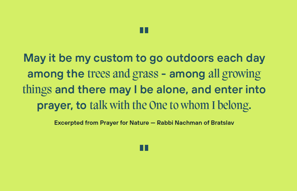 Prayer for Nature Excerpt   