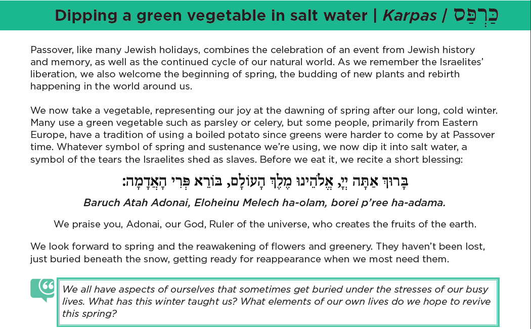 Dipping a green vegetable in salt water | Karpas | כ רְַפסַ