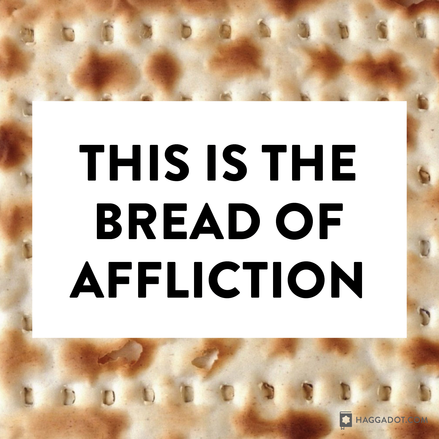 Bread of Affliction