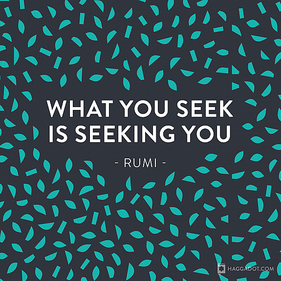 What You Seek… 